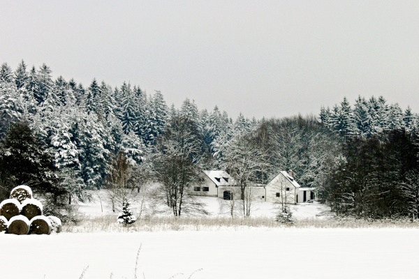 Ubytování - Jižní Čechy - Chalupa na samotě u lesa - pohled zvenku