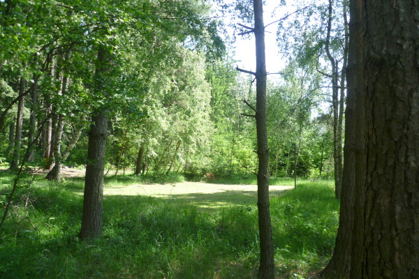 Ubytování - Jižní Čechy - Chalupa na samotě u lesa - okolí chalupy