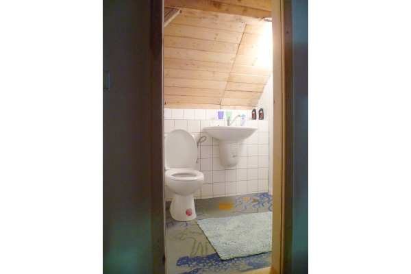 Ubytování - Jižní Čechy - Chalupa na samotě u lesa - koupelna