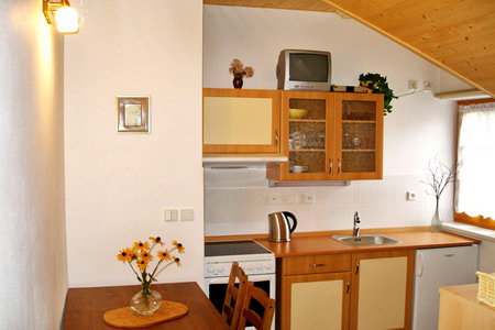 Ubytování Šumava - Penzion u Kolince na Šumavě - kuchyň - apartmán č.2