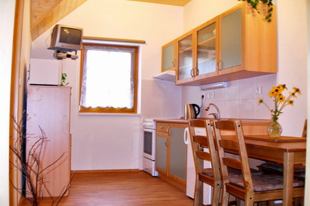 Ubytování Šumava - Penzion u Kolince na Šumavě - kuchyň - apartmán č.1