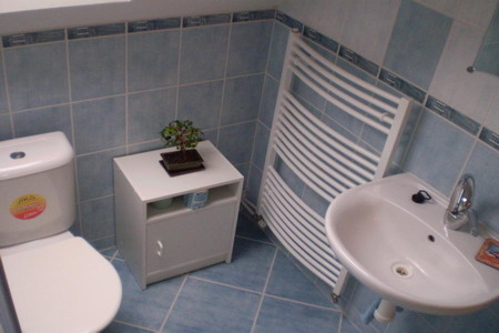 Ubytování - Těrlicko - Domek u Těrlické přehrady - koupelna
