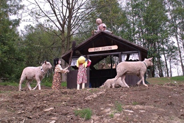 Ubytování -  - Prázdninový dům u Deštné v Orlických horách - výběh s ovečkami