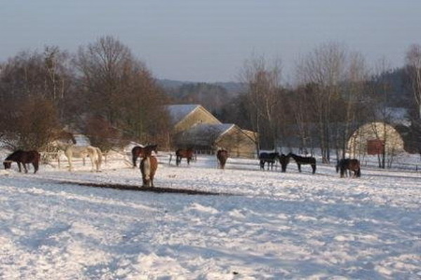 Ubytování - střední Čechy - Farma v Nové Vsi - výběh pro koně